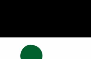 Ona-Ara Achieves Open Defecation-Free Status in Oyo