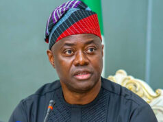 Oyo Govt Deepens Afforestation Drive, Partners Sawmillers on Sustainable Forestry Story: