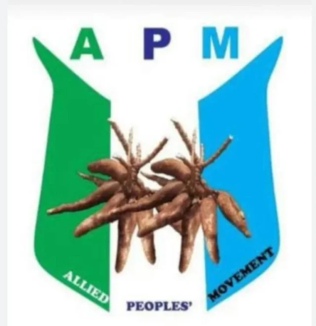 APM-2_1783349928-768x791